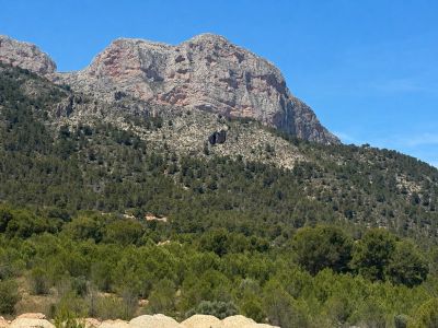 Uitgestrekt uitzicht op een prominente rotsachtige berg, dichtbegroeid met mediterrane vegetatie en pijnbomen, onder een helderblauwe lucht.