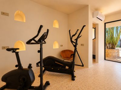 Fitnessruimte met hometrainer en crosstrainer, voorzien van verlichte boogvormige wandnissen en uitzicht op een cactustuin en bergen.