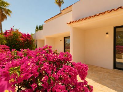 Levendige fuchsia bougainvillea op de voorgrond voor een lichte mediterrane gevel met traditionele terracotta dakpannen en een stenen pad. Donker omlijste ramen reflecteren de zonnige omgeving.