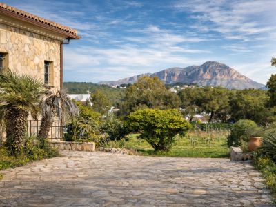 Rustieke stenen gevel van de finca met palmbomen, geplaveide oprit en uitzicht op de Montgó, omringd door wijngaarden en mediterrane vegetatie.