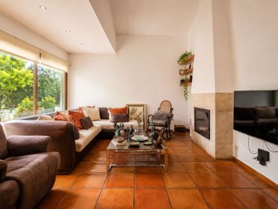 Lichte woonkamer met traditionele terracotta vloeren, een stenen open haard en grote ramen met uitzicht op weelderig groen.
