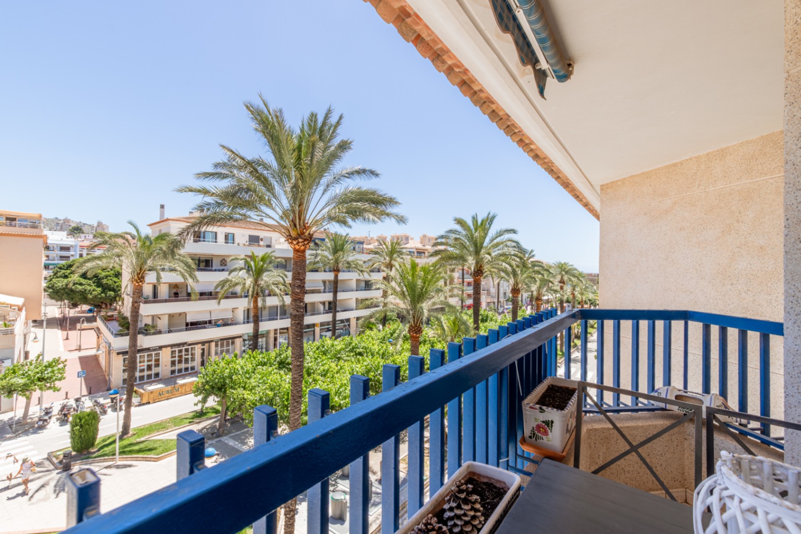 Uitzicht vanaf het privébalkon met blauwe balustrade, uitkijkend op een levendige laan met palmbomen en woongebouwen onder een helderblauwe lucht.