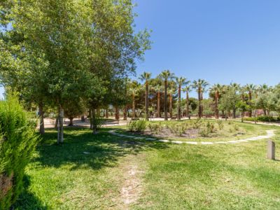 Uitgestrekt groen park met diverse volwassen bomen, inclusief hoge palmen, onder een helderblauwe lucht. Een slingerend pad van stapstenen doorkruist het verzorgde gazon.
