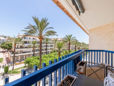 Uitzicht vanaf het privébalkon met blauwe balustrade, uitkijkend op een levendige laan met palmbomen en woongebouwen onder een helderblauwe lucht.