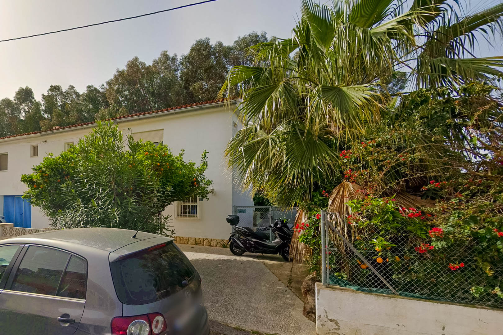 Exterieur van de villa's verharde oprit, met een sinaasappelboom vol vruchten, een palm en weelderige mediterrane begroeiing.