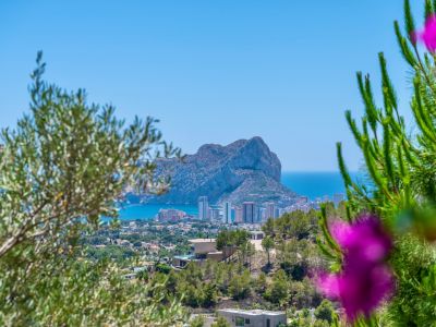 Panoramisch uitzicht op de Peñón de Ifach en de kustlijn van Calpe, omlijst door mediterrane begroeiing, met moderne villa's op de heuvel.