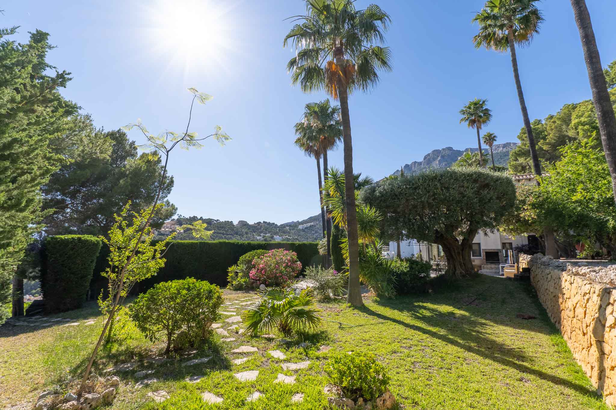 Verzorgde mediterrane tuin met groen gazon, stapstenen pad en volwassen palmbomen onder fel zonlicht. Een stenen muur omzoomt het weelderige groen.