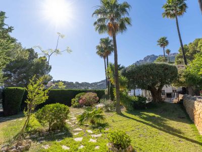 Verzorgde mediterrane tuin met groen gazon, stapstenen pad en volwassen palmbomen onder fel zonlicht. Een stenen muur omzoomt het weelderige groen.