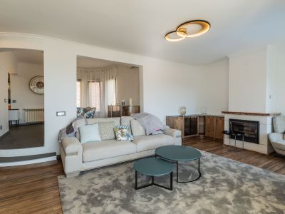 Woonkamer met open haard, roodachtig marmeren schouw en moderne plafondlamp. Een lichte bank en tealkleurige salontafels op een grijs vloerkleed leiden naar een verhoogd gedeelte.