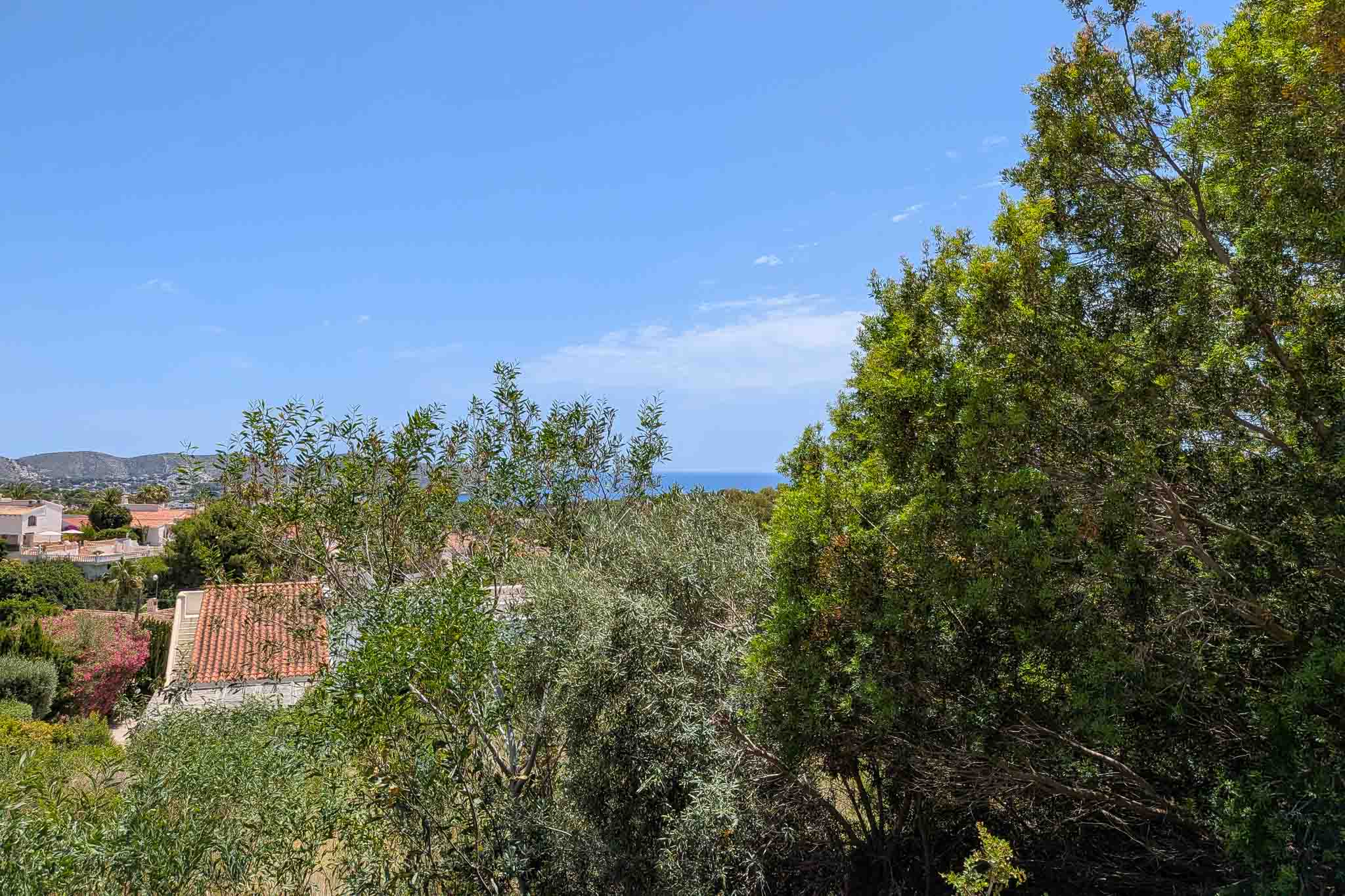 Panoramisch uitzicht vanaf het perceel, met weelderige mediterrane vegetatie op de voorgrond, residentiële daken en de Middellandse Zee aan de horizon onder een helderblauwe lucht.
