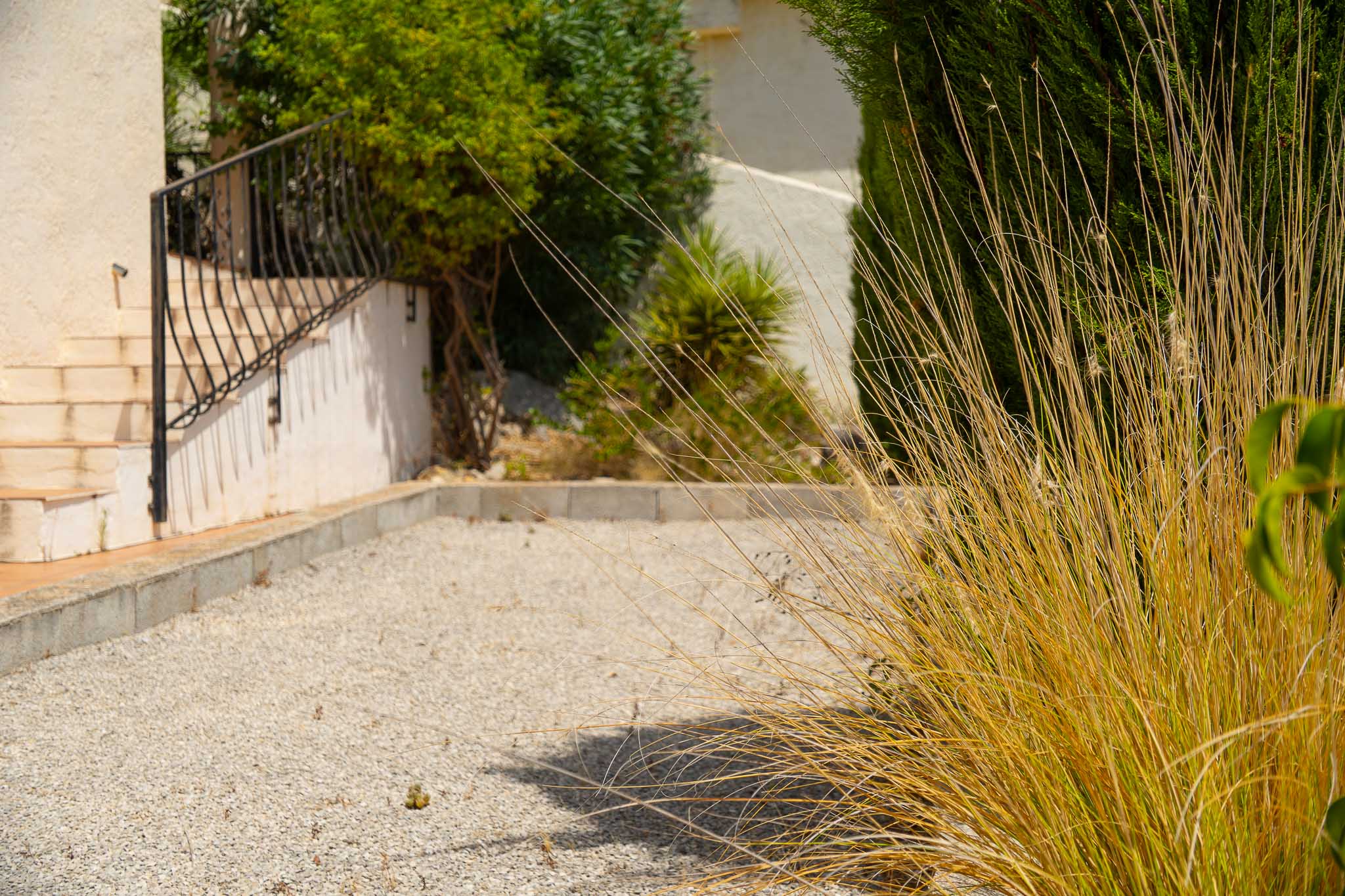 Petanquebaan en tuin