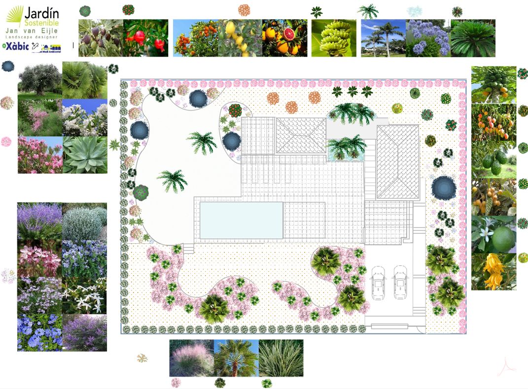 Plattegrond van het tuinontwerp