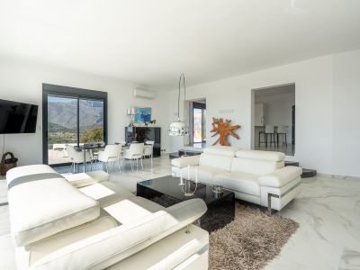 Woon- en eetkamer met bergzicht
