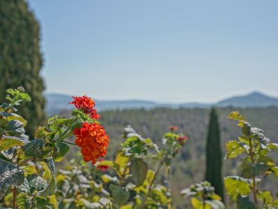 Tuin met uitzicht op het landschap