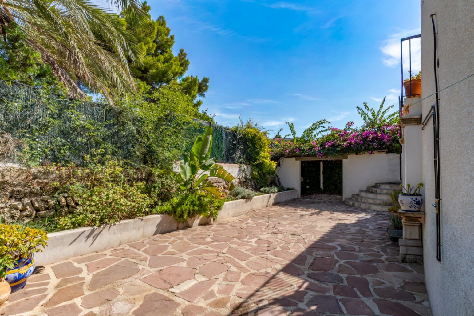 Buitenpatio en tuin