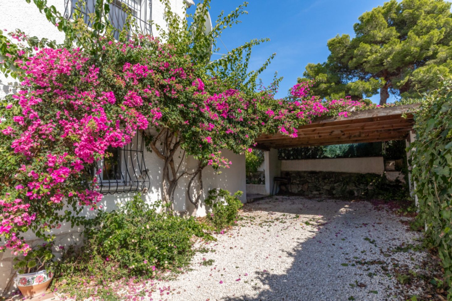 Carport en oprit