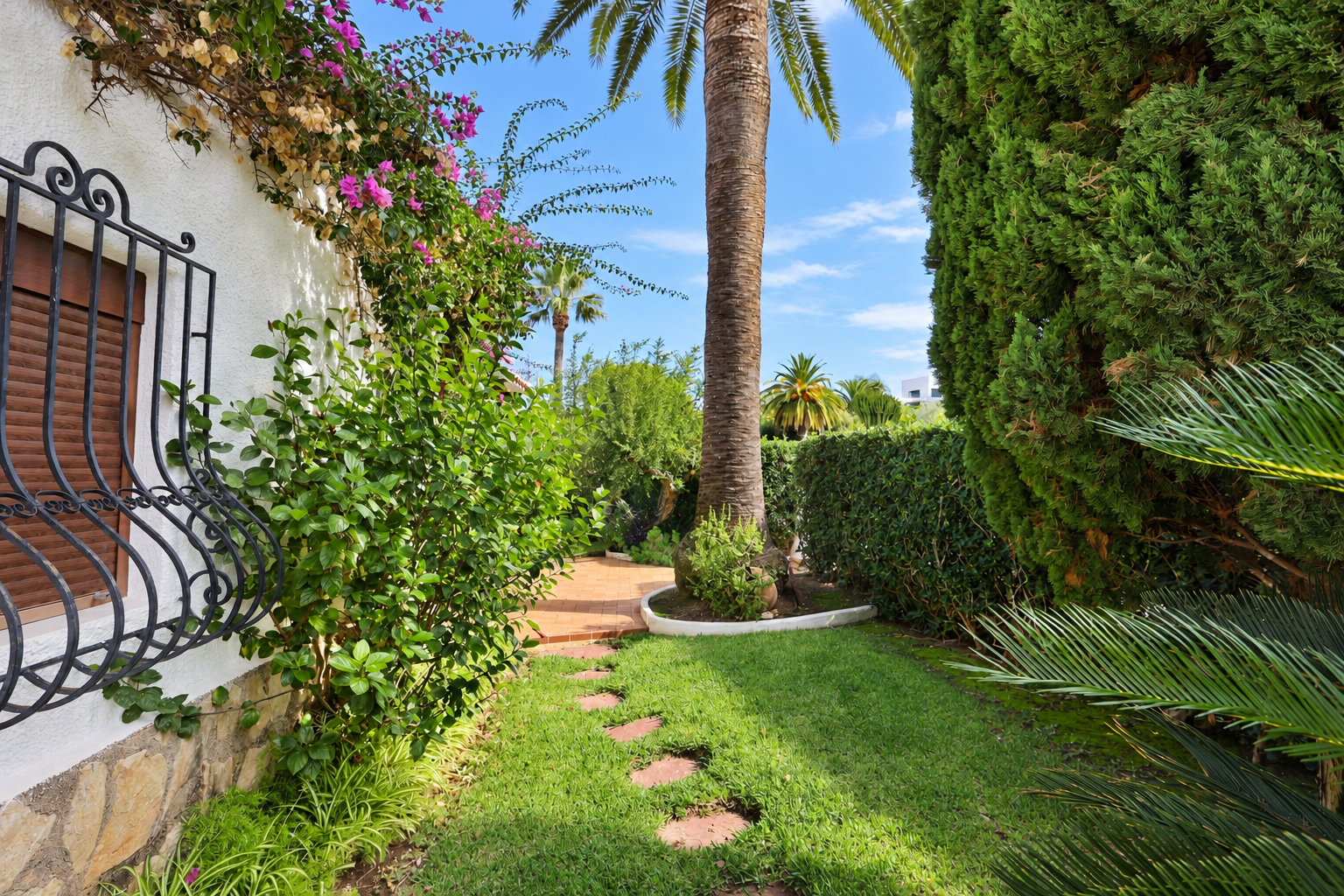 Tuin met palmboom