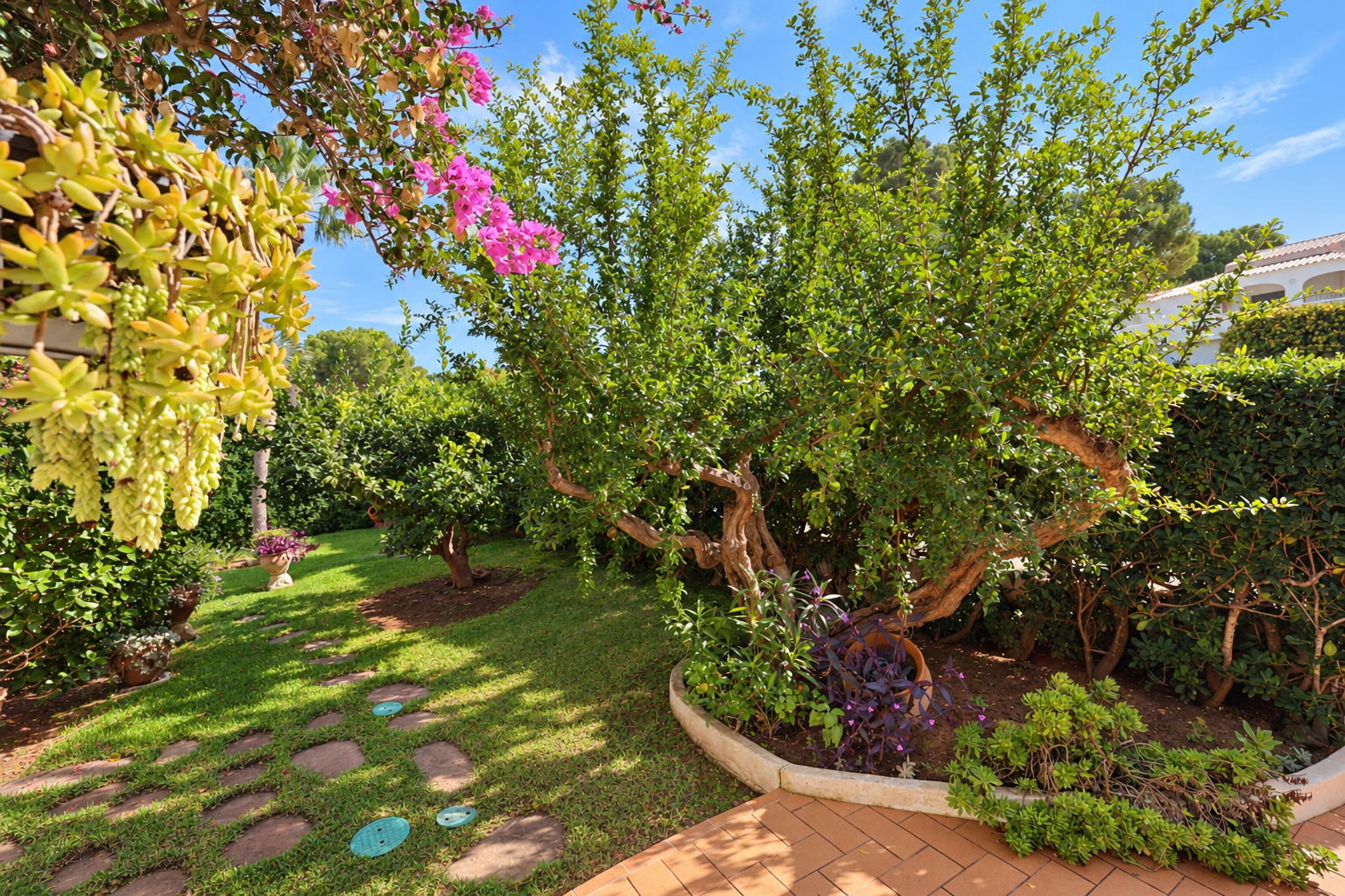 Tuin van de woning