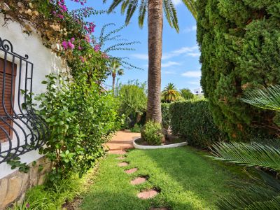 Tuin met palmboom
