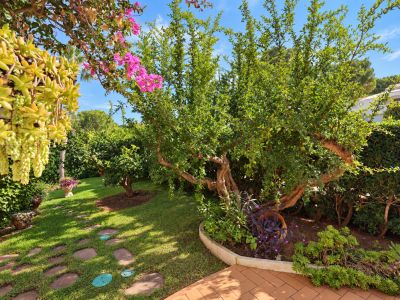 Tuin van de woning