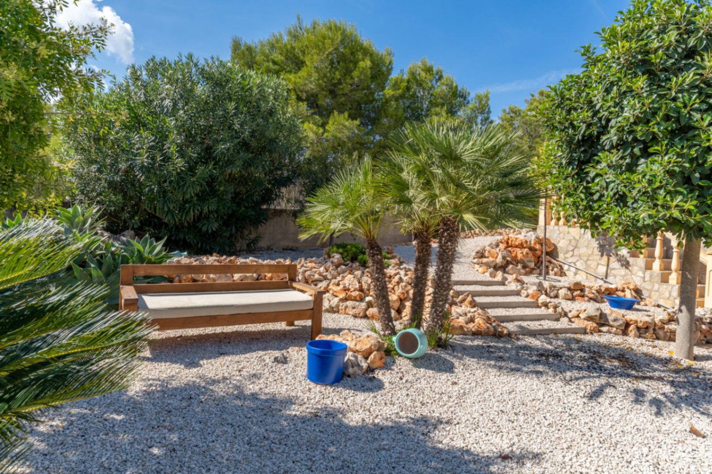 Mediterrane tuin