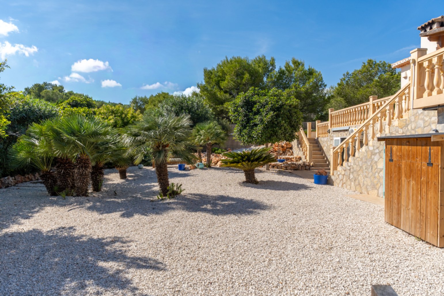 Mediterrane tuin met palmbomen