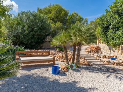 Mediterrane tuin