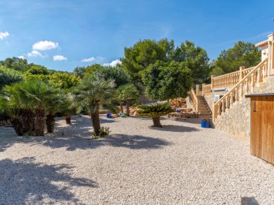 Mediterrane tuin met palmbomen