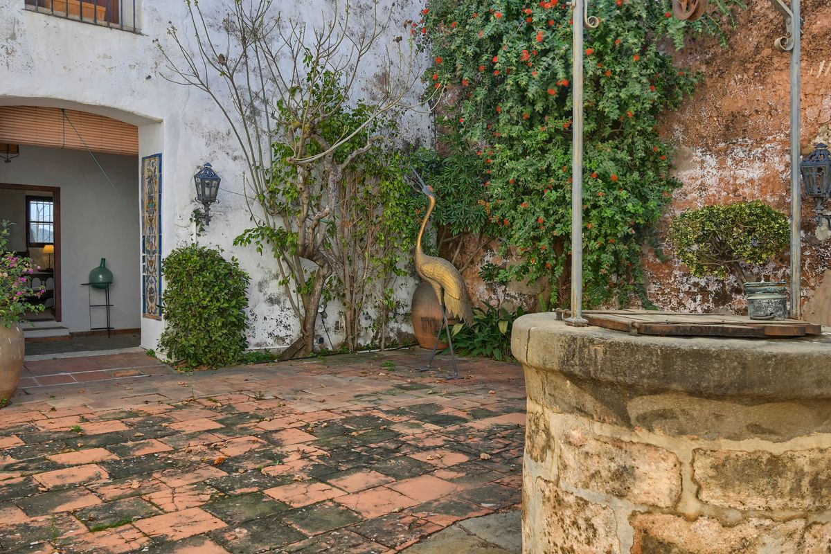 Traditionele mediterrane binnenplaats met een originele stenen put, verweerde terracotta tegels en een decoratieve vogelsculptuur tussen weelderige klimplanten.