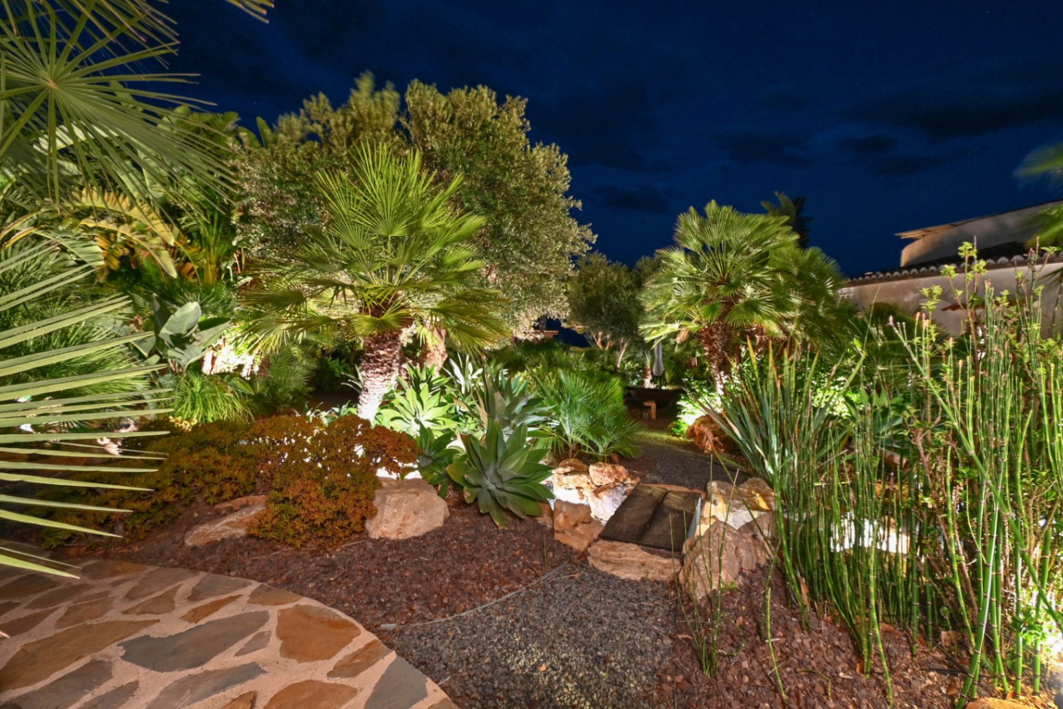 Verlichte mediterrane tuin bij nacht met palmbomen, agaves en een grindpad met een kleine houten brug tussen decoratieve stenen.