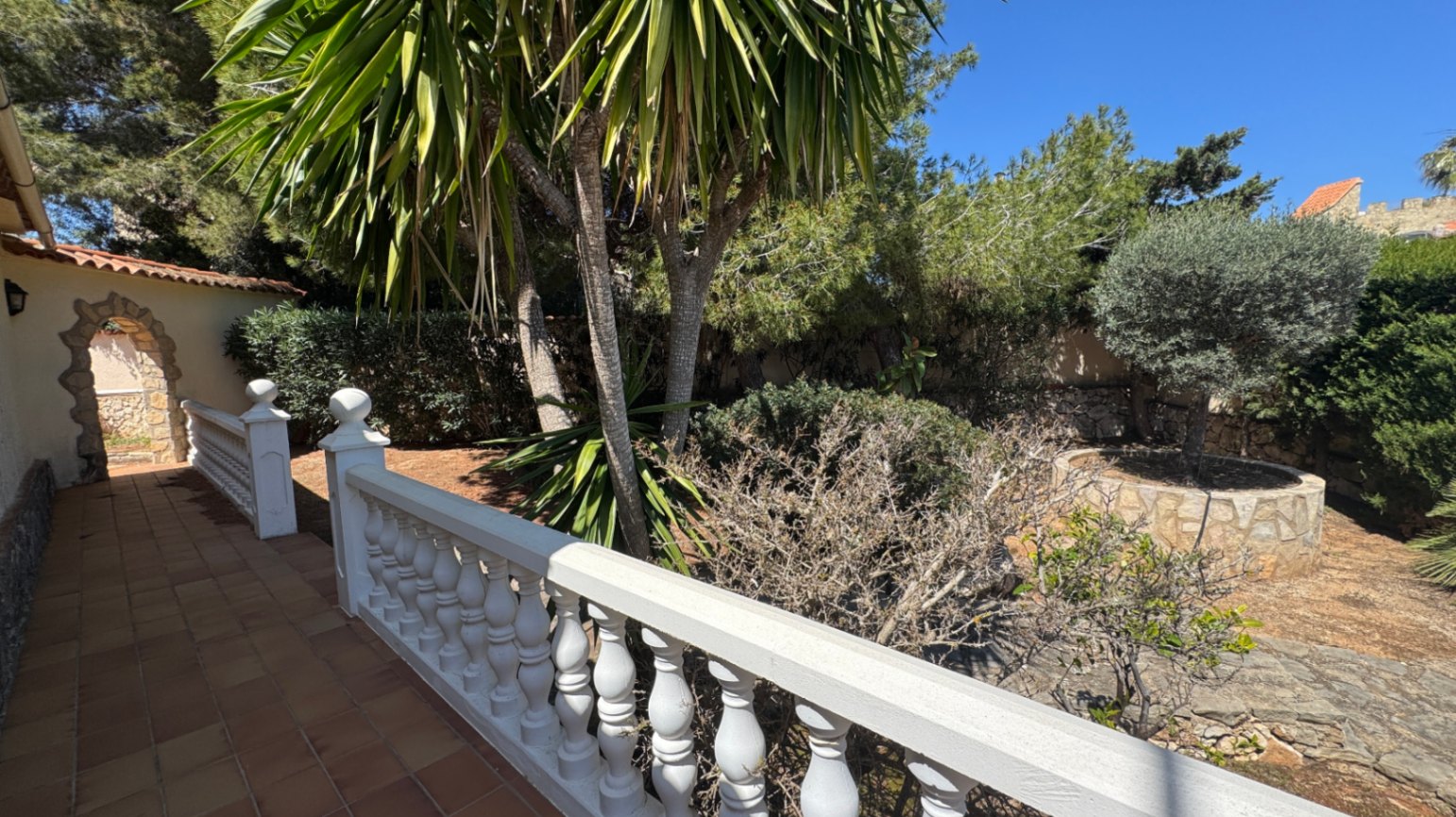 Terras met terracotta tegels en een witte balustrade, uitkijkend op een mediterrane tuin met palmbomen en een olijfboom in een natuurstenen border.