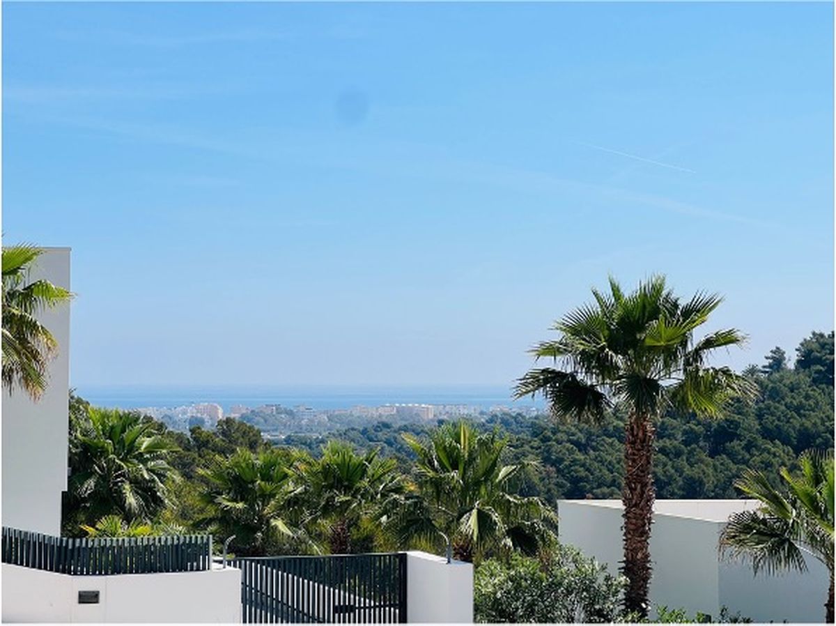 Panoramisch uitzicht vanaf het terrein over palmbomen en een dennenbos, met de kustlijn en de Middellandse Zee aan de horizon.