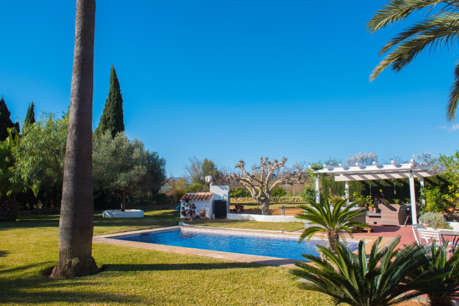 Buitenzwembad omgeven door een verzorgd gazon, met een witte pergola, palmbomen en mediterrane beplanting onder een helderblauwe lucht.