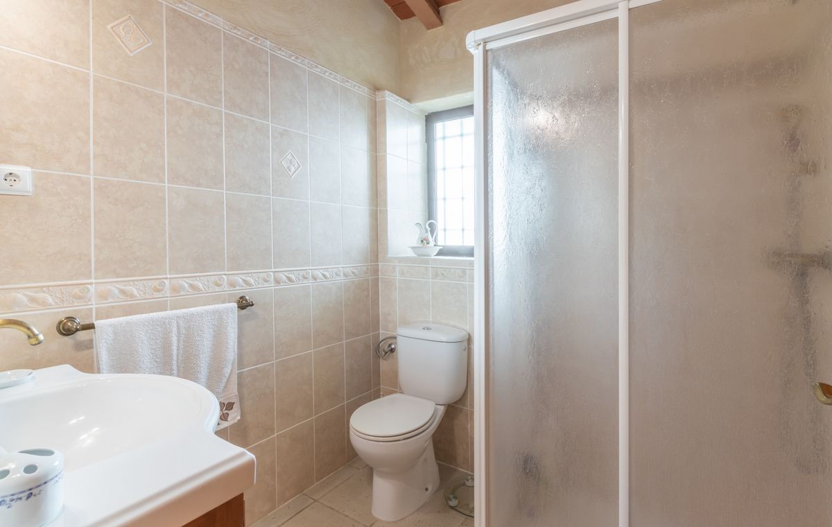 Badkamer met beige wandtegels, decoratieve sierlijsten, een wit toilet en een douchecabine met matglas onder authentieke houten plafondbalken.