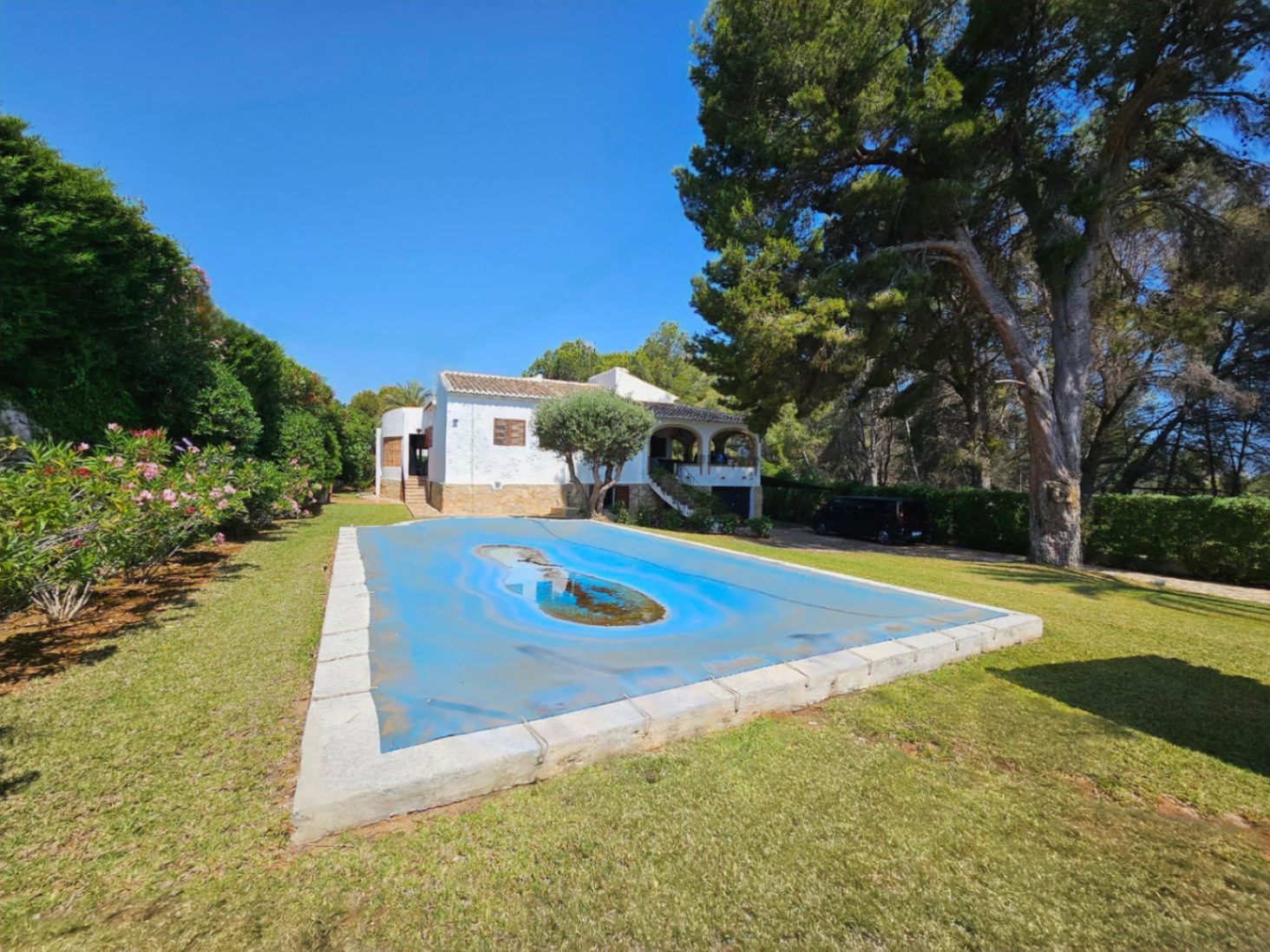 Exterieur van een witte mediterrane villa met een afgedekt zwembad, omgeven door een gazon en volwassen pijnbomen onder een heldere hemel.