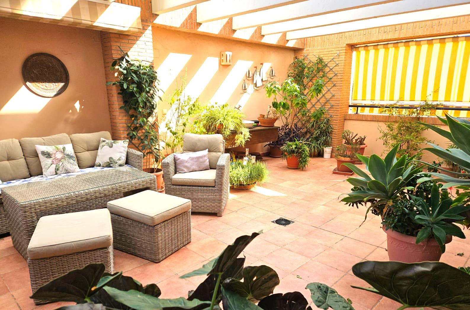 Ruim terras met terracotta tegels, voorzien van een grijze wicker loungeset, witte pergolabalken en diverse mediterrane potplanten in het natuurlijke zonlicht.