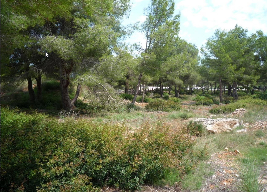 Vlakke bouwpercelen met zeezicht in Jávea