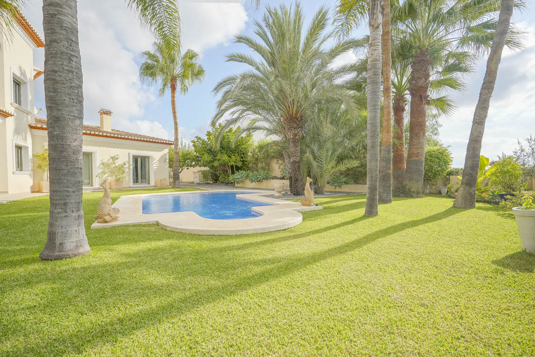 Mediterrane tuin met gazon, volwassen palmbomen en een niervormig zwembad met natuurstenen rand nabij de gevel van de villa.