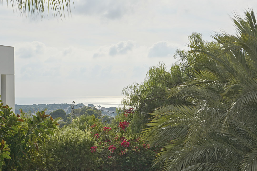 Panoramisch uitzicht op de Middellandse Zee, omlijst door volwassen palmbomen en bloeiende bougainvillea vanaf een hooggelegen punt.