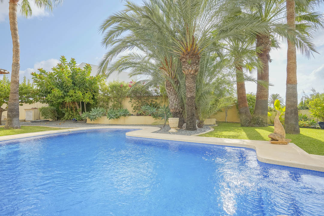 Privézwembad met natuurstenen rand, omgeven door een volgroeide mediterrane tuin met hoge palmbomen, gazon en diverse vetplanten.