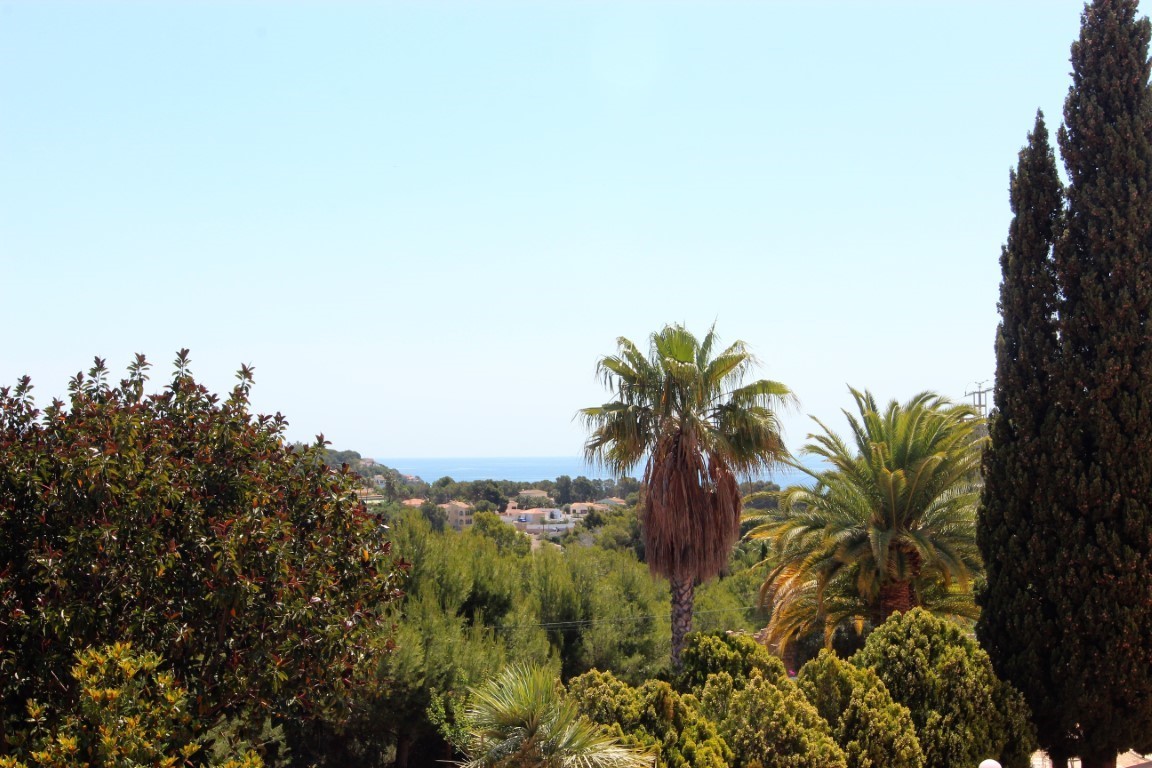 Panoramisch uitzicht op de Middellandse Zee vanaf het perceel, omgeven door mediterrane beplanting met palmbomen en cipressen.