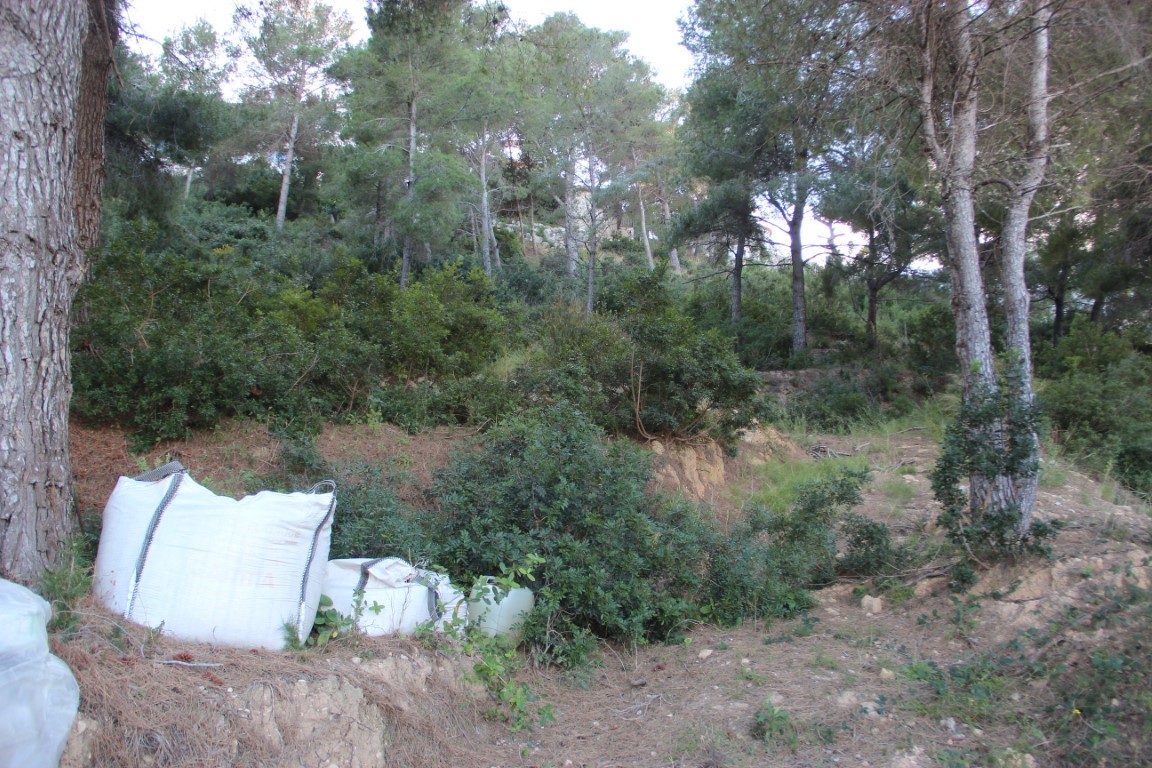 Bouwgrond op een helling met volwassen pijnbomen en natuurlijke mediterrane begroeiing, gelegen in een bosrijke omgeving in Jávea.