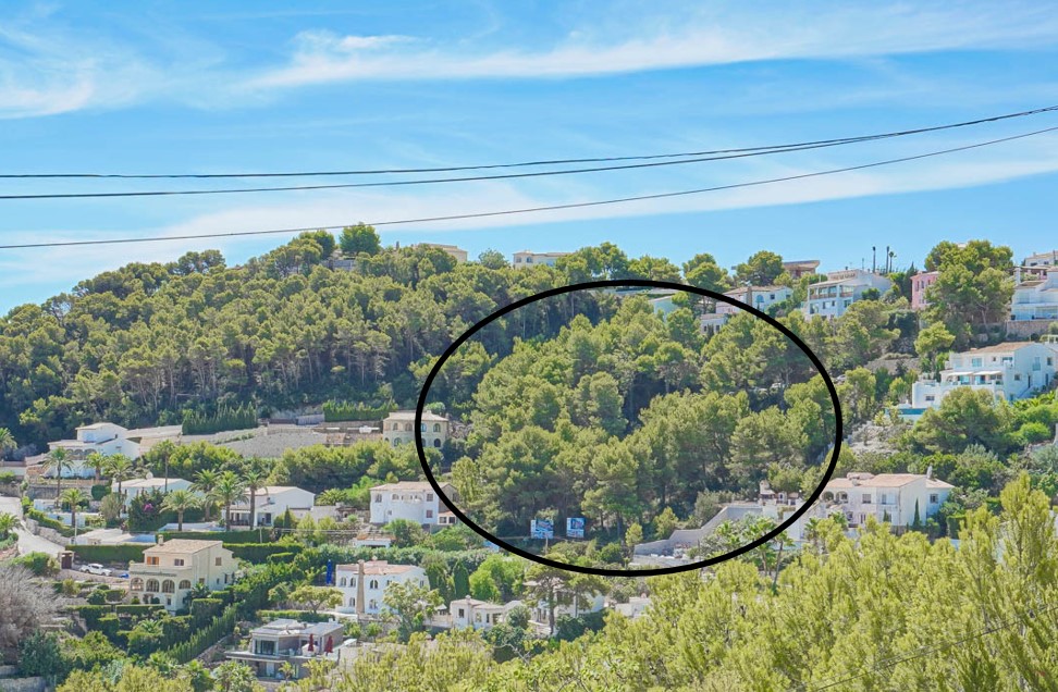 Panoramisch uitzicht op het verhoogde bouwperceel in Jávea, gekenmerkt door een dicht dennenbos omringd door bestaande villa's.