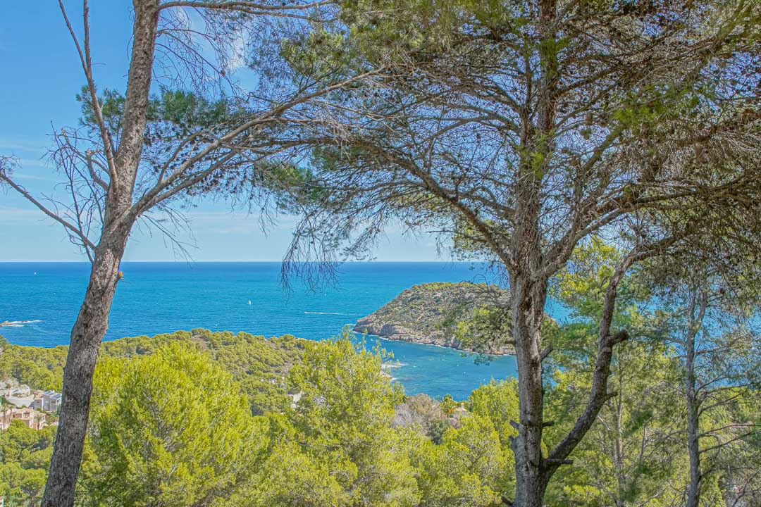 Panoramisch uitzicht op de Middellandse Zee en het eiland Portichol, omlijst door volwassen pijnbomen vanuit de villa in Jávea.