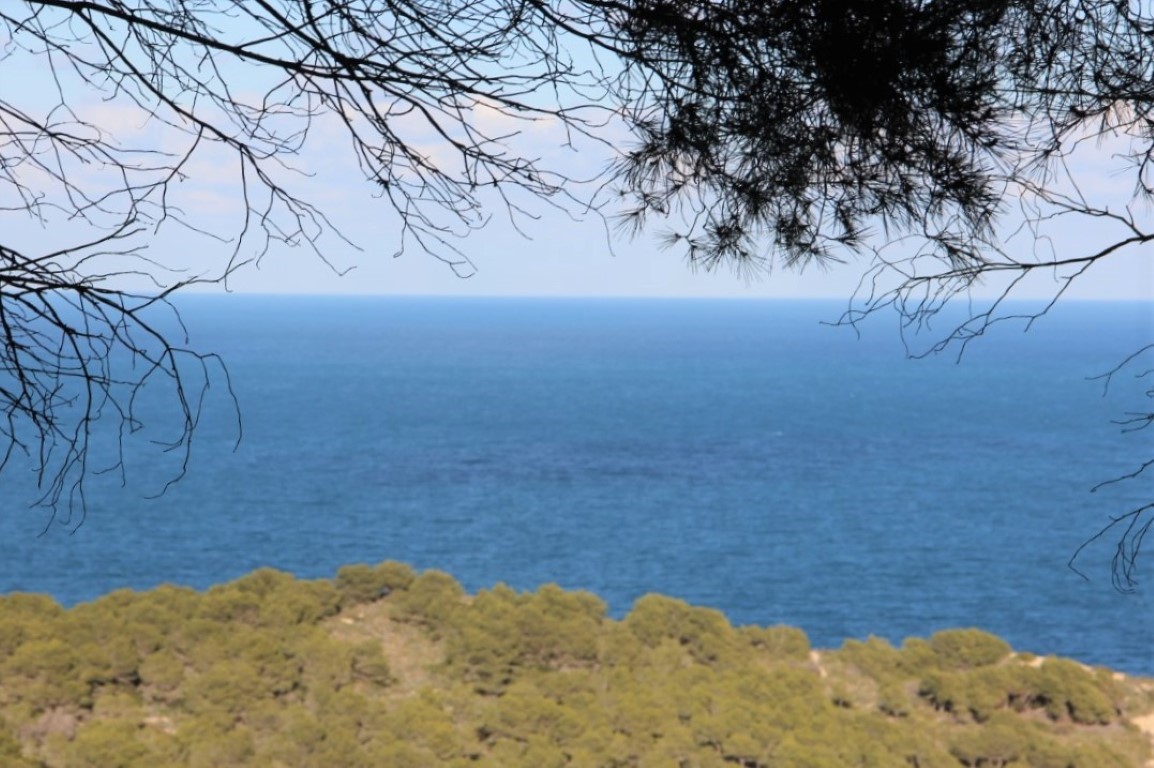 Panoramisch uitzicht op de Middellandse Zee omlijst door dennentakken, met de helderblauwe horizon en de beboste kustlijn van Jávea.