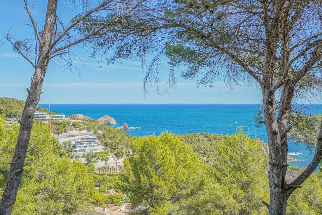 Panoramisch uitzicht op de Middellandse Zee, omlijst door pijnbomen, met zicht op de grillige kustlijn van Jávea en de weelderige begroeiing op de heuvels.