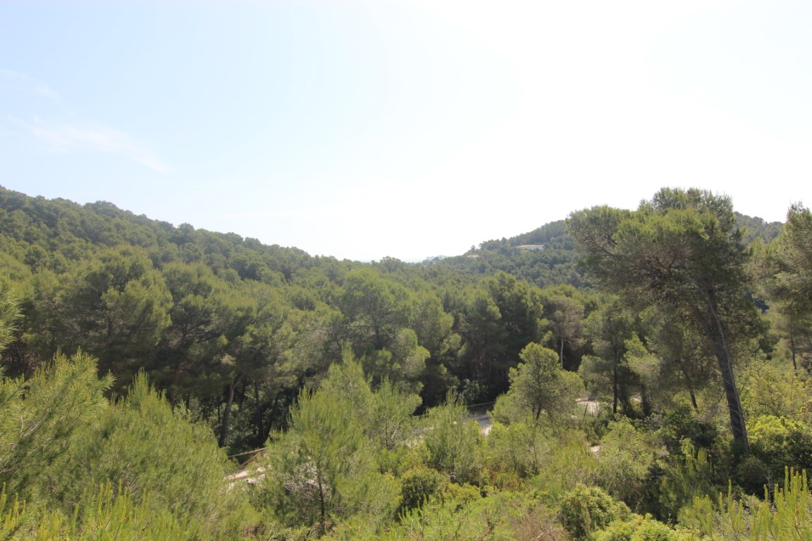 Panoramisch uitzicht op de met pijnbomen begroeide heuvels vanaf de percelen in Jávea. Een natuurlijke, beschermde omgeving met een open horizon.
