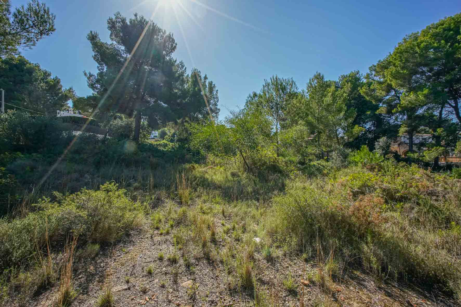 Bouwgrond van 2700 m2 met inheemse vegetatie en volwassen pijnbomen, gelegen in een rustige woonwijk met een gunstige, zonnige ligging.
