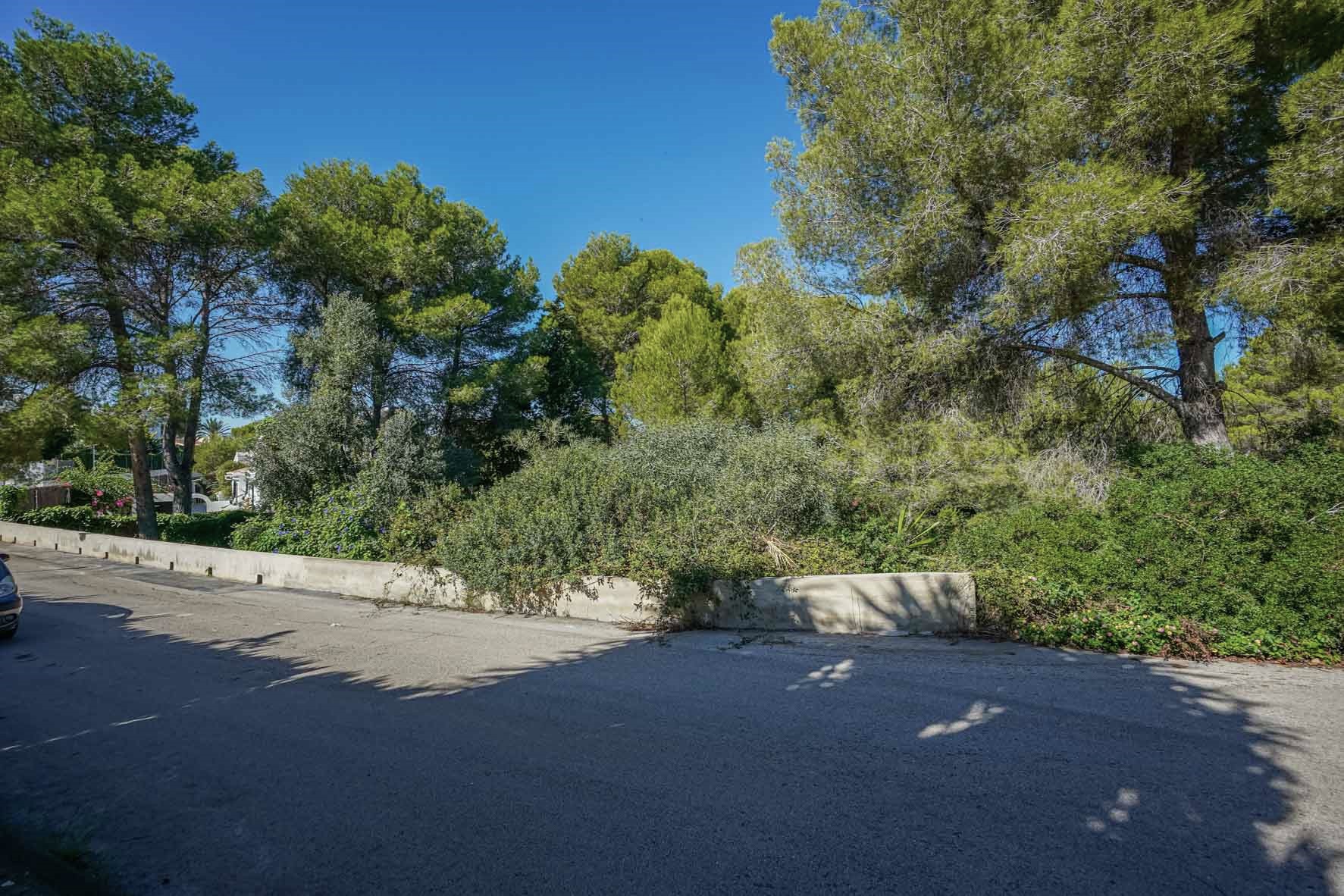 Buitenaanzicht van het hoekperceel met een betonnen omheining, volwassen pijnbomen en dichte mediterrane beplanting langs een rustige geasfalteerde weg.