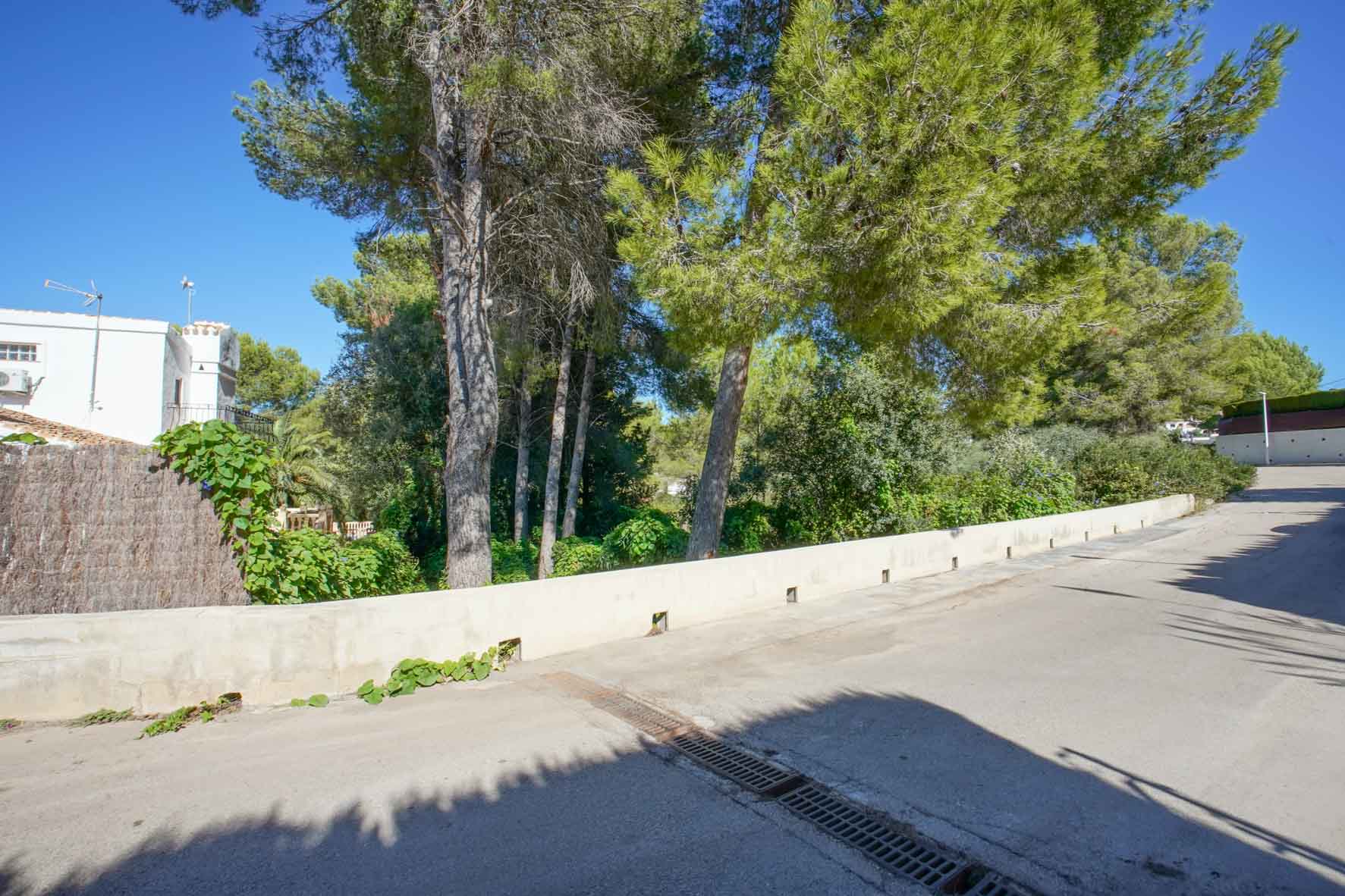 Buitenaanzicht van het perceel vanaf de geasfalteerde straat, met de lage tuinmuur en volwassen pijnbomen onder een helderblauwe lucht.